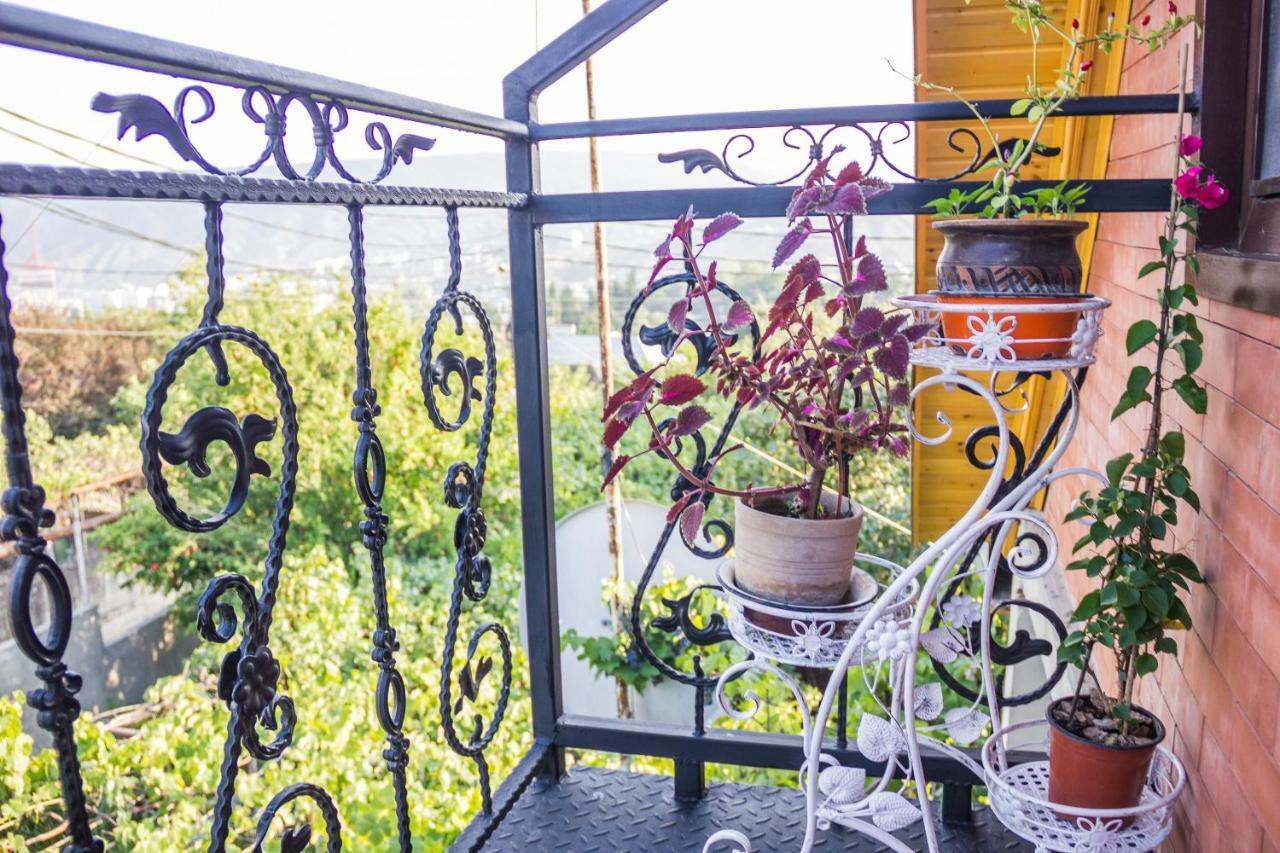 Apartament Sofia 트빌리시 외부 사진